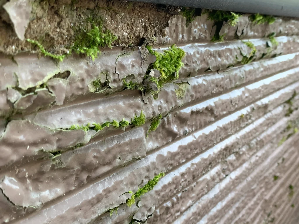 湿気が溜まりすぎて苔が生えてくることも。